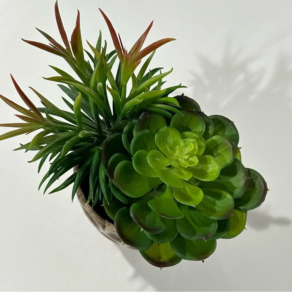 Ceramic Potted Faux Succulents Artificial Plant Decor